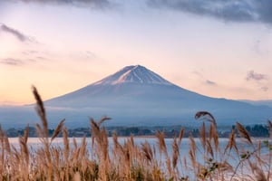 Fra Tokyo: Fuji-fjellet og Gotemba – privat dagstur som kan tilpasses.