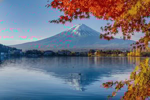From Tokyo: Mt.Fuji & Kawaguchi & Oshino Hakkai Bus Tour
