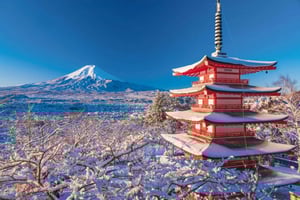 Von Tokio aus: Mt.Fuji, Kawaguchi See, Oshino Hakkai Tagestour