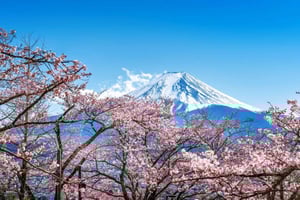 Ab Tokio: Private und anpassbare Tagestour zum Fuji