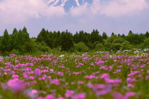 Excursão privada ao Monte Fuji a partir de Tóquio, totalmente ajustável