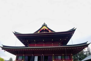 東京発：英語ガイド付き日光1日カスタムツアー