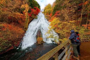 De Tóquio: excursão privada e personalizável de um dia a Nikko