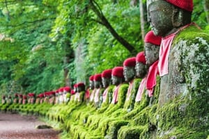 Vanuit Tokio: privétour door Nikko met lunch