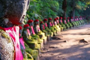 From Tokyo: Nikko Tōshogū Private Tour Customizable Day Trip