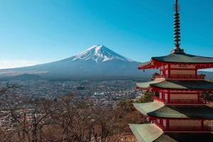 From Tokyo: Private Mount Fuji Day Tour with Guide