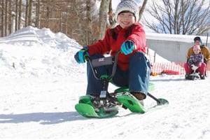 De Tóquio: Viagem de um dia de esqui com equipamentos e vestuário para Hodaigi
