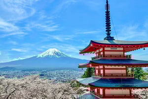 Depuis Tokyo : visite privative sur mesure du mont Fuji