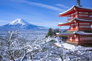 De Tóquio às nuvens: um passeio privado e personalizado pelo Monte Fuji