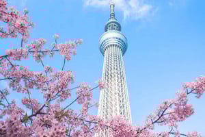 Fra Tokyo: Privat heldags byrundtur i Tokyo, der kan tilpasses