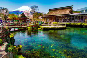 Fuji/Hakone Private Tour, English speaking guide, Photograph