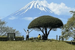 Hakone Hachiri: Excursión por la antigua carretera de Tokaido