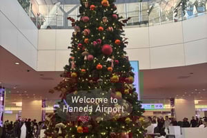 Haneda Airport Private Transfer – Luxury Car & Meet & Greet