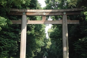 History and serenity at Meiji Shrine and Yoyogi Park – Walking Tour