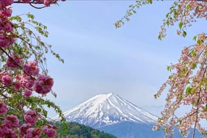 Japan: 4-daagse hoogtepunten van Fuji, Hakone, Nikko en sneeuwapen