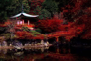 Japão: excursão privada de 7 dias com motorista e guia