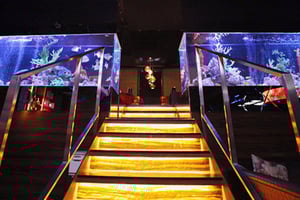 Kabukicho, Shinjuku: experiencing Japanese Host Club