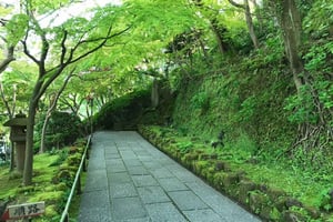 Kamakura: visita de peregrinação de anime com guia local