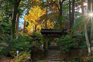 Kamakura: Great Buddha Hike, Hidden Shrines & Zen Temples