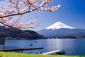 Excursão privada ao Monte Fuji ou Hakone a partir de Tóquio (personalizável)