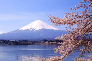 Viagem de 1 dia ao Monte Fuji com motorista particular e guia em inglês