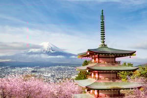 Kultura, las i widoki na Fudżi: prywatna wycieczka
