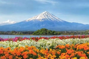 Mt Fuji-tur: Kawaguchi-søen, helligdom, helbredende landsby og pagode