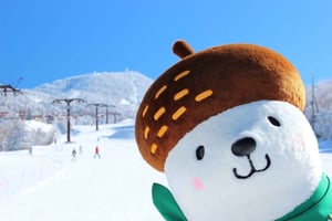 長野：スキーリゾートと雪の猿へのプライベートツアーをご案内いたします