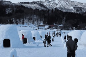 Nagano: passeio particular com macacos da neve e resorts de esqui