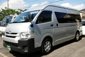 Narita Lufthavn: 1-vejs delt transport