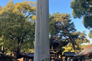 Old and new: Meiji Shrine, Takeshita Street & Shibuya Tour
