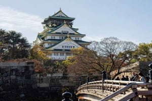 Osaka: visita guiada privada com itinerário personalizável