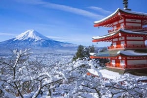Private customize day tour to Mount Fuji with English guide
