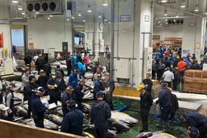 Privat Toyosu & Tsukiji Market Adventure med tunfiskauksjon