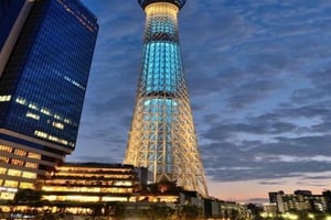 Shizuoka: tour privato di Tokyo con guida