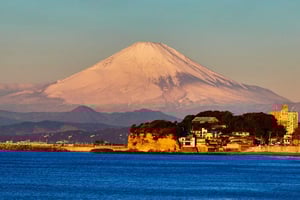 Suginami: Monte Fuji e Lago Kawaguchi com guia holandês