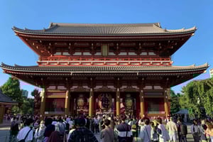 Tokyo: 1-dagars privat skräddarsydd rundtur i Tokyo