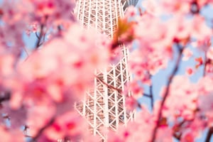 Tokio: 2 päivän opastettu kierros Kamakurassa ja nouto hotellilta