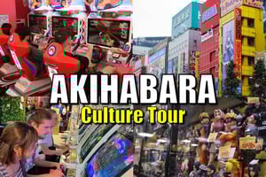 Tokyo: Akihabara Anime, Manga, Games Walk (Arcades,Gachapon)