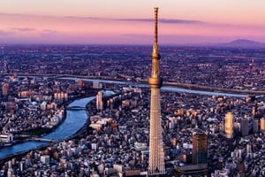 Tokio: tour por los puntos destacados de la ciudad con bares y templos ocultos