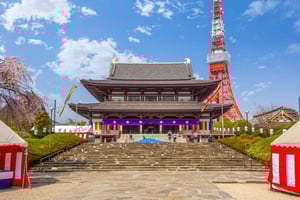 Passeio privado pela cidade de Tóquio com motorista que fala inglês no carro