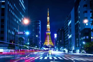 Tokyo: Customizable Day Trip Within Tokyo & English-Driver