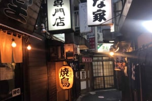 Tokyo: Customizable Private Guided Walking Tour