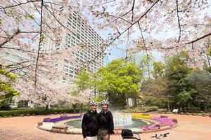 Tokio: Odkryj tradycyjne Tokio: całodniowa wycieczka rowerowa