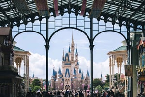 Tokyo Disneyland: 1-dags billet og privat transfer
