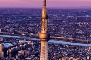 Tokyo Full Day Customizable Private Day Trip with Guide