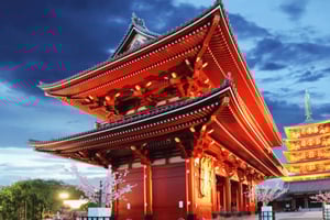 Visite d'une jounée privée et personnalisée de Tokyo avec chauffeur anglais