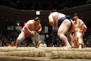 Tokyo: Grand Sumo Tournament Viewing Tour (January, 2026)