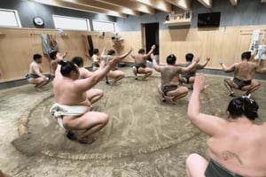 Tokyo: Guided Sumo Wrestlers’ Morning Practice Tour