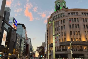 Tokyo: tour a piedi guidato tra teatri e musical